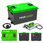 OEM ODM LiFePO4 Customized Golf Cart Lithium Battery Pack Lithium Ion Battery 48V