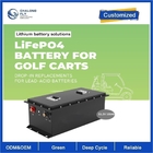 CLF OEM ODM Golf Cart Forklift Motorcycle Lifepo4 Lithium Battery 36V 48V 72V  BMS CAN RS485 6000cycles Lead Acid