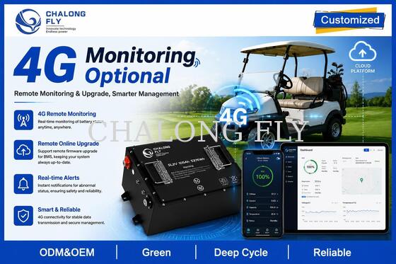 OEM ODM LiFePO4 Golf Cart Battery with Custom Voltage Custom BMS and CAN Communication