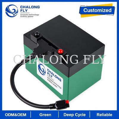 12.8V 18Ah 24Ah LiFePO4 Golf Trolley Battery with T-Bar Connector