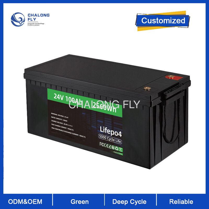 96V 300AH IP67 Waterproof Marine Lithium Battery with 6000 Cycle Life for Electric Boats and Solar Energy Storage