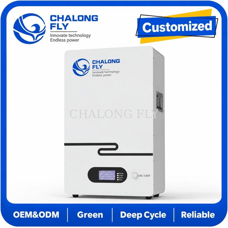 Wall Mounted 51.2V LiFePO4 Residential Energy Storage System Home Solar Battery for Backup Power