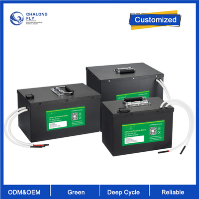 OEM ODM LiFePO4 লিথিয়াম ব্যাটারি প্যাক AGV অটোমেটেড গাইডেড যানবাহন সিস্টেম 24v 80v