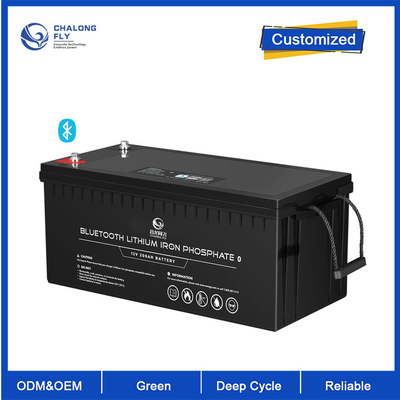 OEM ODM LiFePO4 লিথিয়াম ব্যাটারি 12V 200Ah লিথিয়াম ব্যাটারি কাস্টমাইজড ব্যাটারি লিথিয়াম ব্যাটারি প্যাক