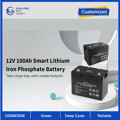 OEM ODM LiFePO4 লিথিয়াম ব্যাটারি 12V 100Ah লিথিয়াম ব্যাটারি স্মার্ট ডিপ সাইকেল কাস্টমাইজড ব্যাটারি লিথিয়াম ব্যাটারি প্যাক