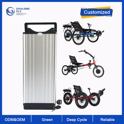 LiFePO4 লিথিয়াম ব্যাটারি কাস্টম 24V 36V 48V Recumbent Electric Trike ব্যাটারি 20AH-120AH ইলেকট্রিক ট্রাইসাইকেল ব্যাটারি প্যাক