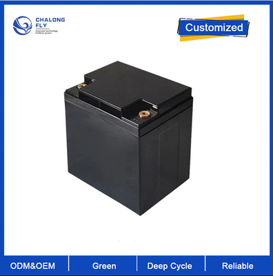 ODM OEM কাস্টমাইজড প্লাগ টাইপ LiFePO4 লিথিয়াম ব্যাটারি 24V 48V 18Ah 36Ah 40Ah