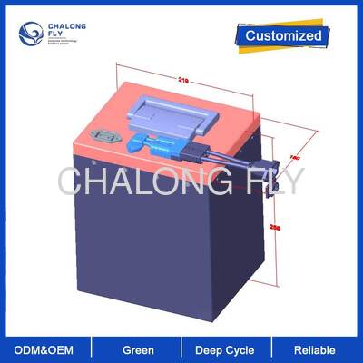 ইলেকট্রিক স্কুটার ও মোটরসাইকেলের জন্য ৭২ ভি ৪৫ এএইচ লাইফপিও ৪ লিথিয়াম ব্যাটারি।