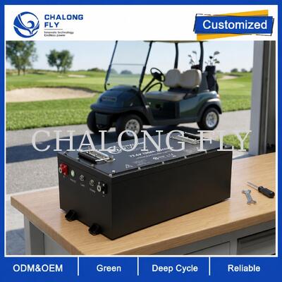 OEM ODM LiFePO4 গল্ফ কার্ট ব্যাটারি কাস্টম ভোল্টেজ কাস্টম BMS এবং CAN কমিউনিকেশন সহ