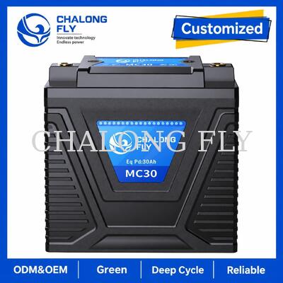12.8V 10Ah LiFePO4 মোটরসাইকেল স্টার্টার ব্যাটারি 600A 15 ¢ 30Ah লিড-এসিড প্রতিস্থাপনের জন্য