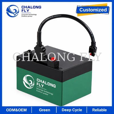 12.8V 18Ah 24Ah LiFePO4 গলফ ট্রলি ব্যাটারি টি-বার সংযোগকারী সহ