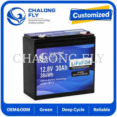 12.8V 30Ah LiFePO4 গভীর চক্র ব্যাটারি 384Wh শক্তি এবং স্মার্ট BMS 12V সিস্টেমের জন্য