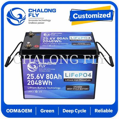 25.6V 70Ah LiFePO4 ব্যাটারি ব্লুটুথ রিমোট ডায়াগনস্টিক এবং 1.792kWh গতিশীলতা স্কুটার এবং হুইলচেয়ারের জন্য