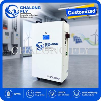51.2V 300Ah 15.36kWh LiFePO4 হোম এনার্জি স্টোরেজ ব্যাটারি আবাসিক এনার্জি স্টোরেজ সিস্টেমের জন্য